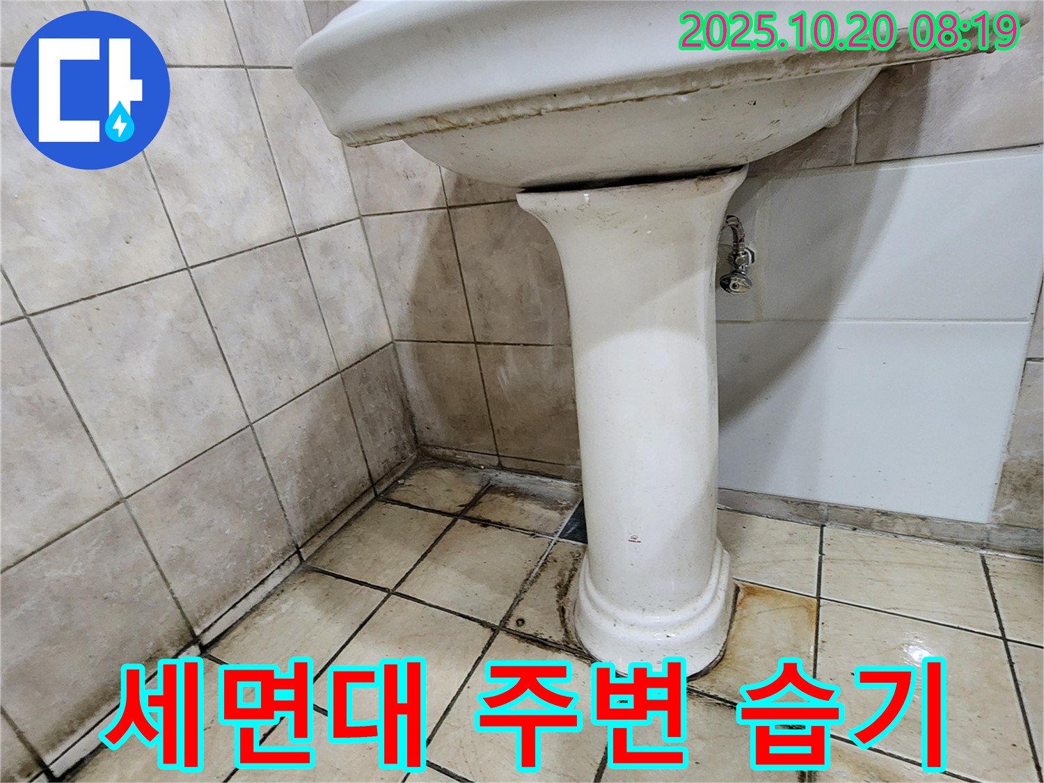 양주시 장흥면 석현리 세면대 주변 습기 - 세면대 주변에 습기가 많아 누수가 의심되는 상황을 점검하는 모습입니다.