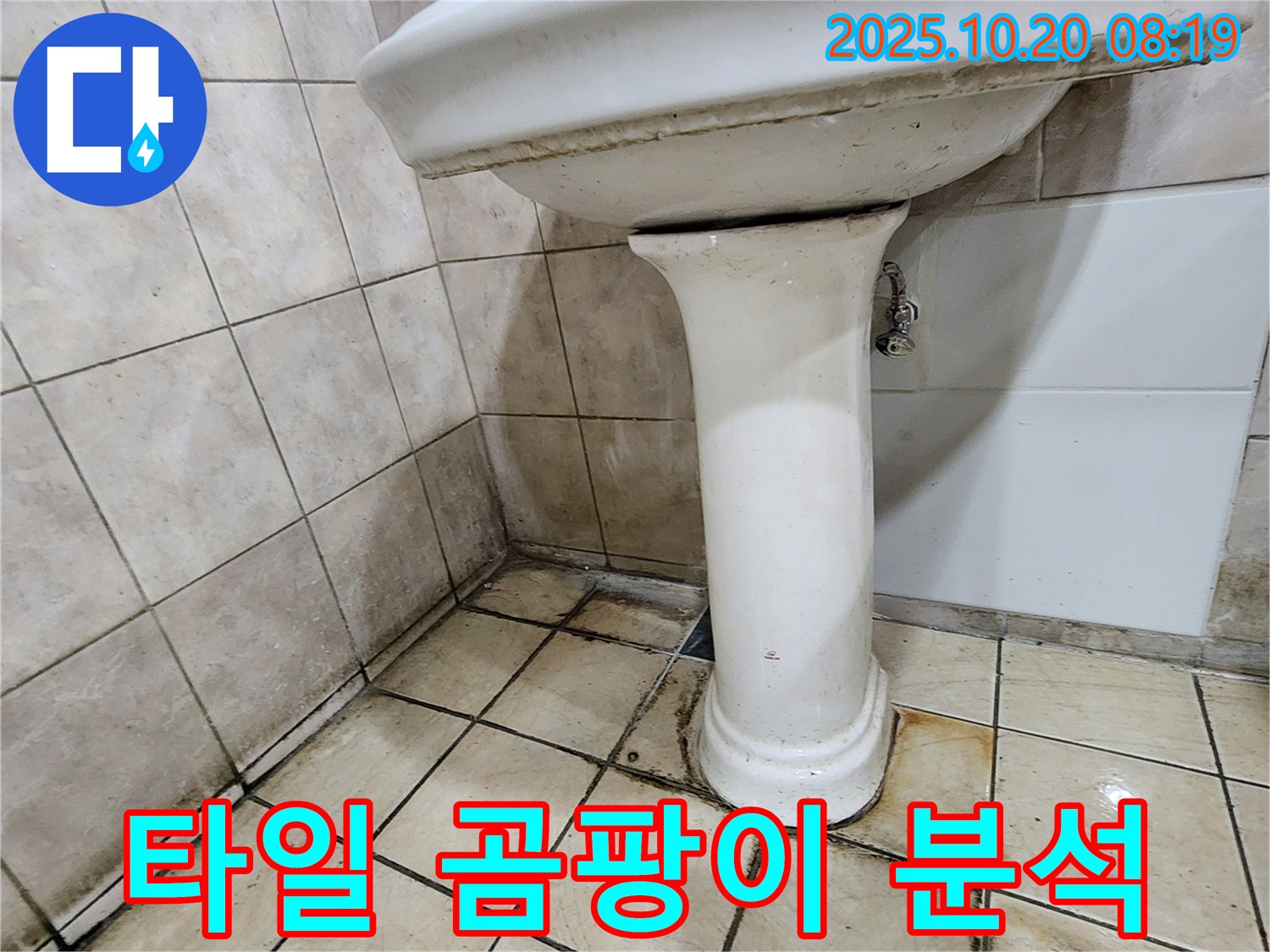 양주시 장흥면 석현리 세면대 주변 타일 - 세면대 주변 타일에 곰팡이가 피고 누수가 발생한 상태를 자세히 보여줍니다.
