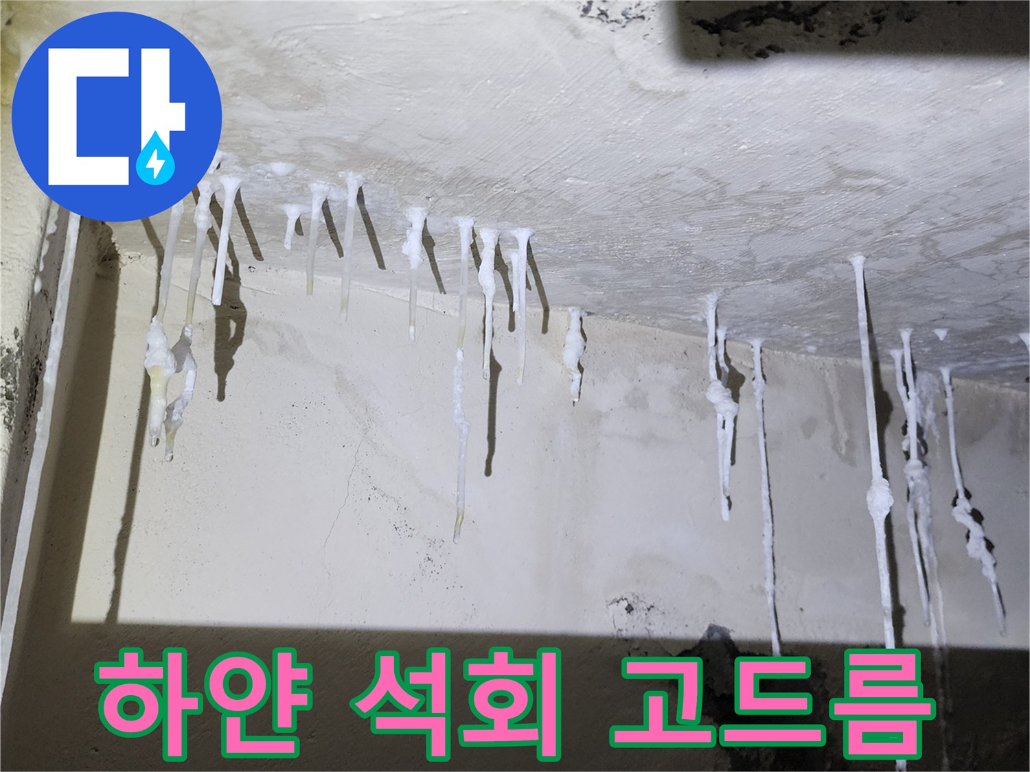 천장 균열 부위에서 흘러나온 백색 석회 물질
