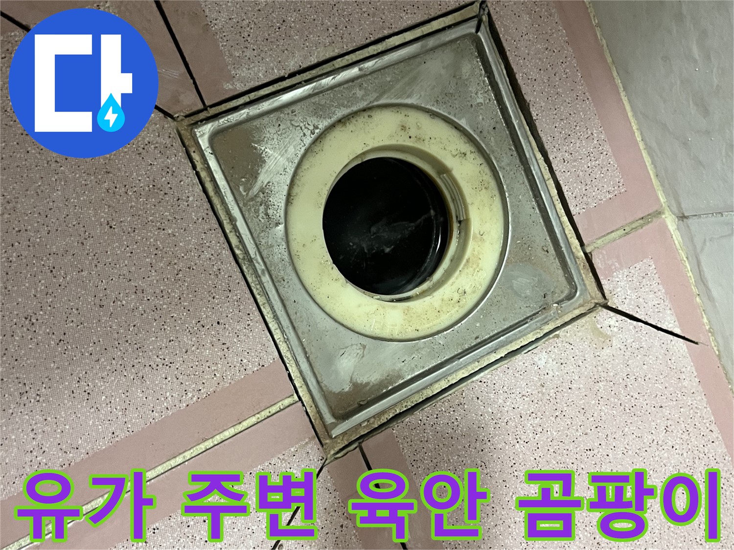 금천구 독산동 형제빌 유가 주변 육안 및 곰팡이 점검 - 종합 누수 진단