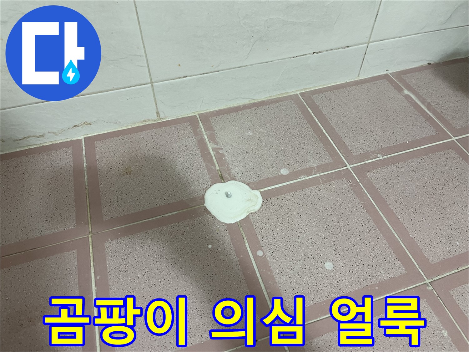 금천구 형제맨션빌 누수 - 백색 물질 주변 곰팡이 의심 얼룩