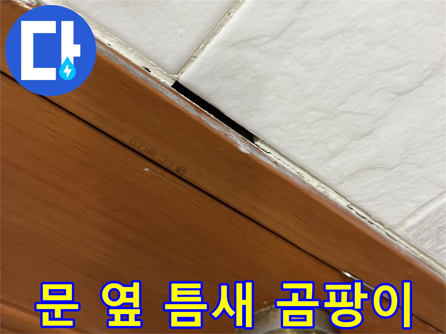 문 옆 틈새에 곰팡이 - 누수 위험 신호