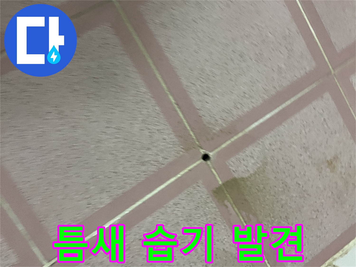 타일 틈새 습기 발견 - 금천구 독산동 누수