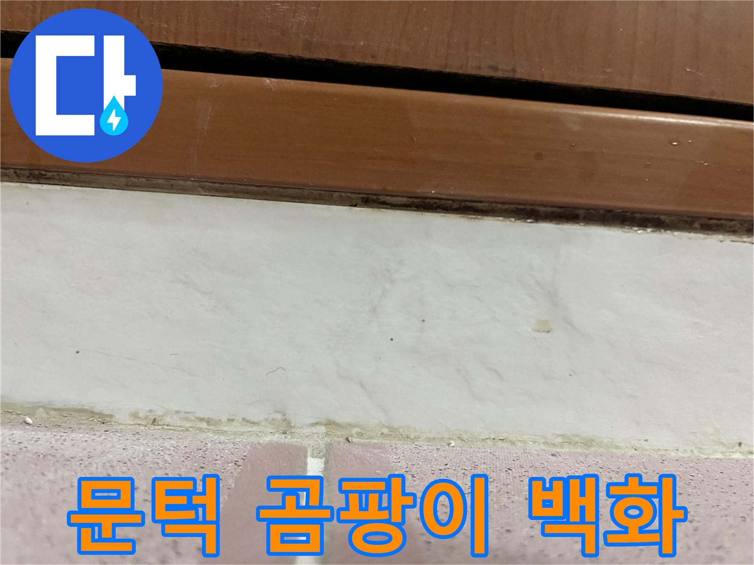 형제맨션빌 누수 - 문턱 아래 타일 틈새 곰팡이와 백화현상