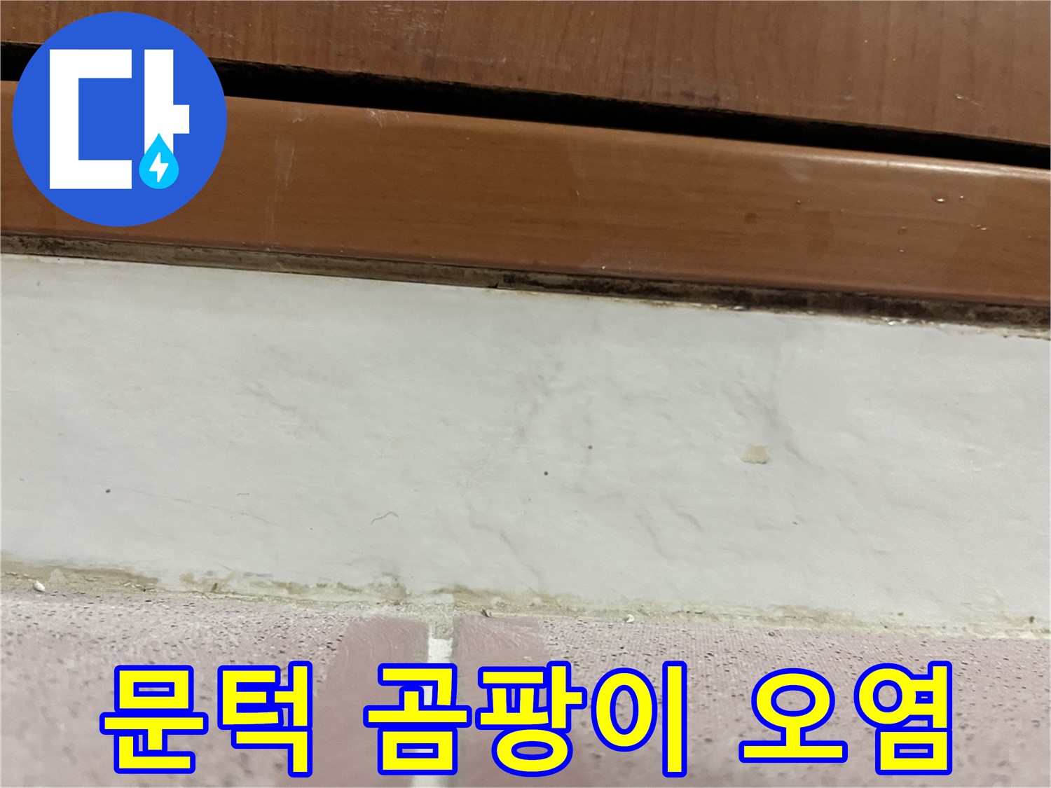 형제맨션빌 누수 - 문턱 아래 타일 틈새 곰팡이와 오염