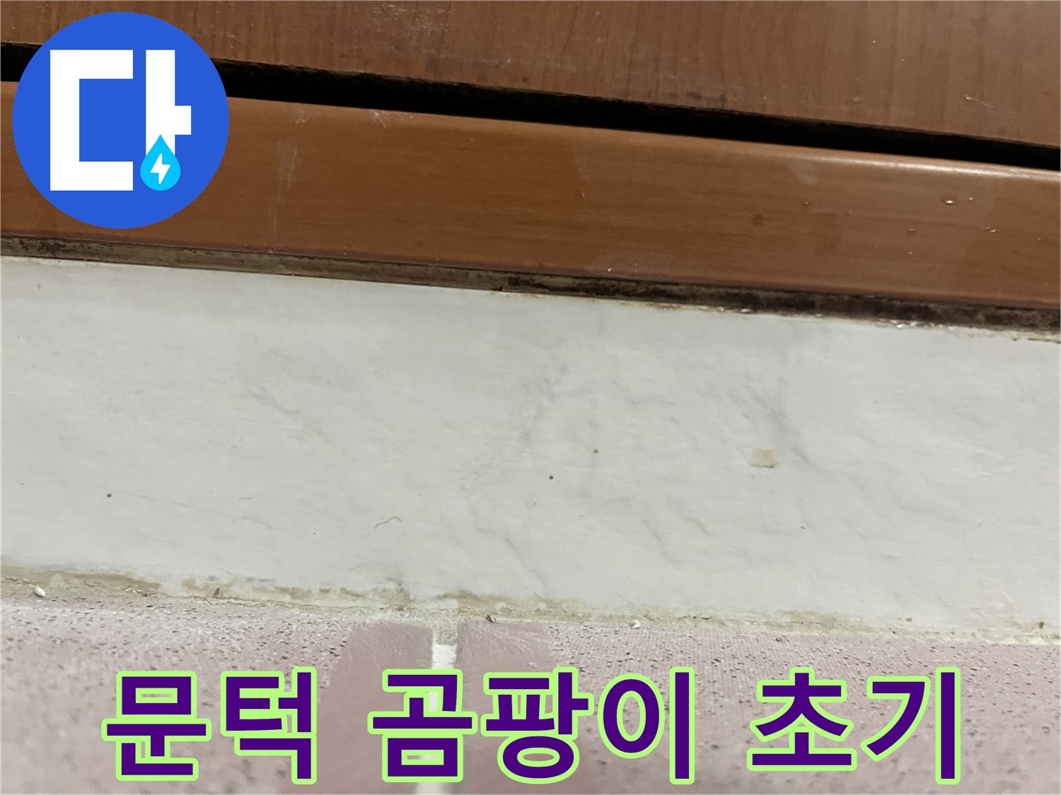 형제맨션빌 누수 - 문턱 아래 타일 틈새 곰팡이와 찌든 때 초기