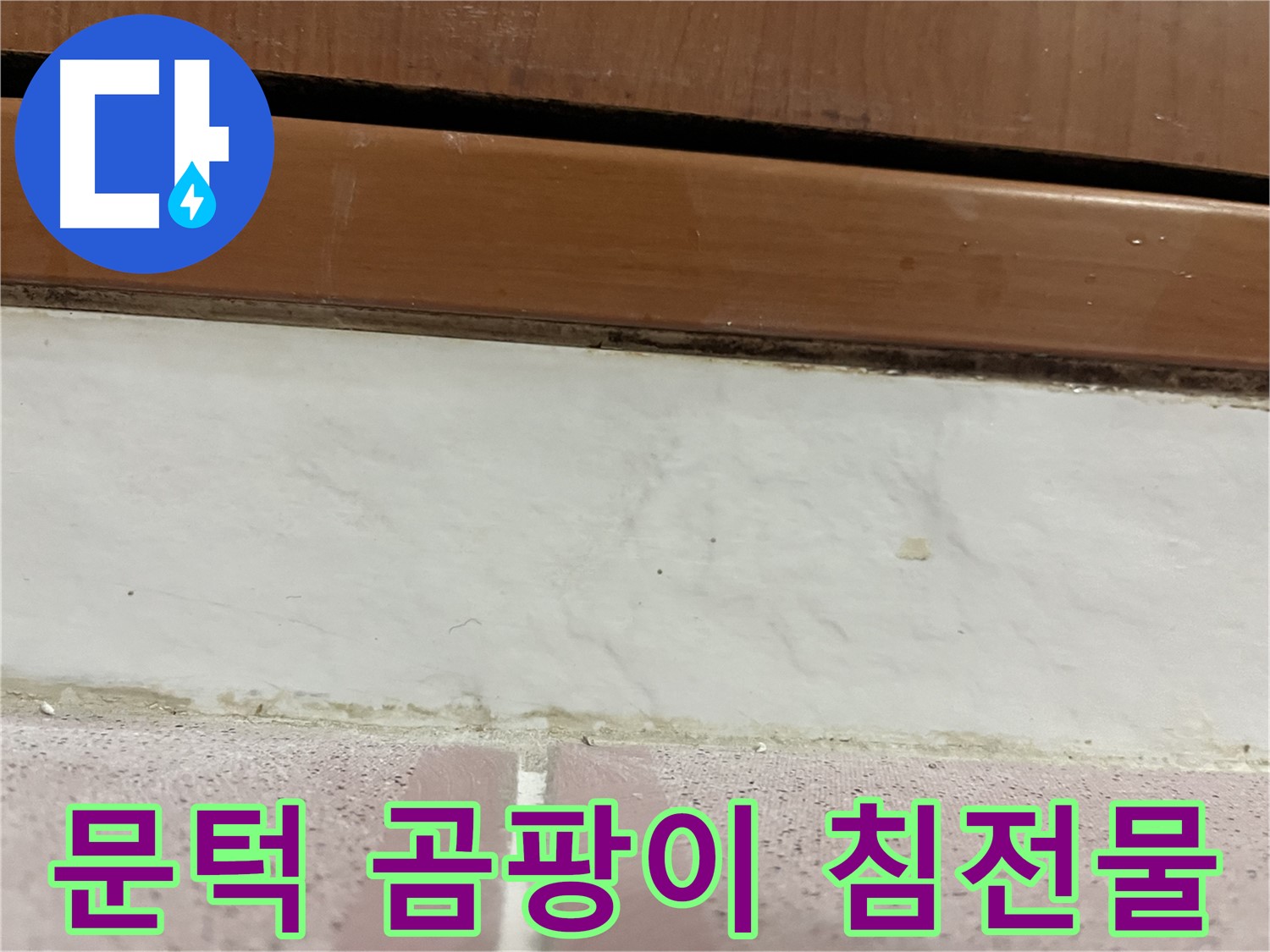 형제맨션빌 누수 - 문턱 아래 타일 틈새 곰팡이와 침전물