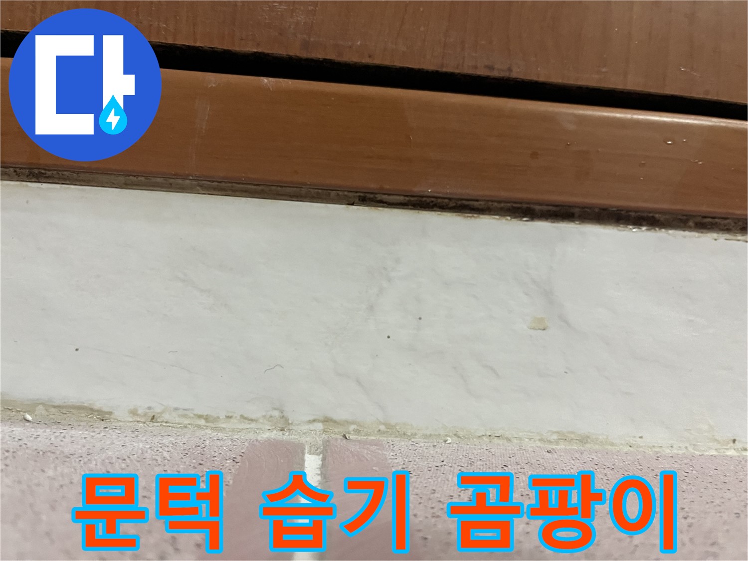 형제맨션빌 누수 - 문턱 아래 타일 틈새 습기와 미세한 곰팡이