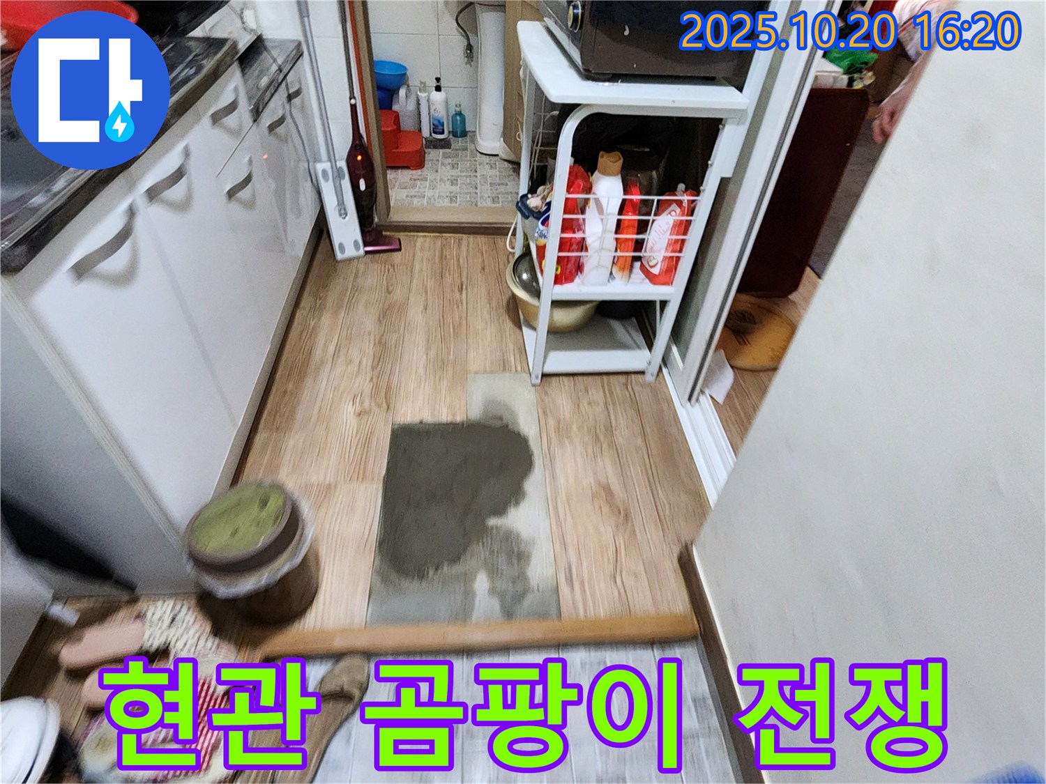 부곡리 누수 해결 - 양주 누수 전문가가 현관 곰팡이와의 전쟁에서 승리하도록 도와드립니다.