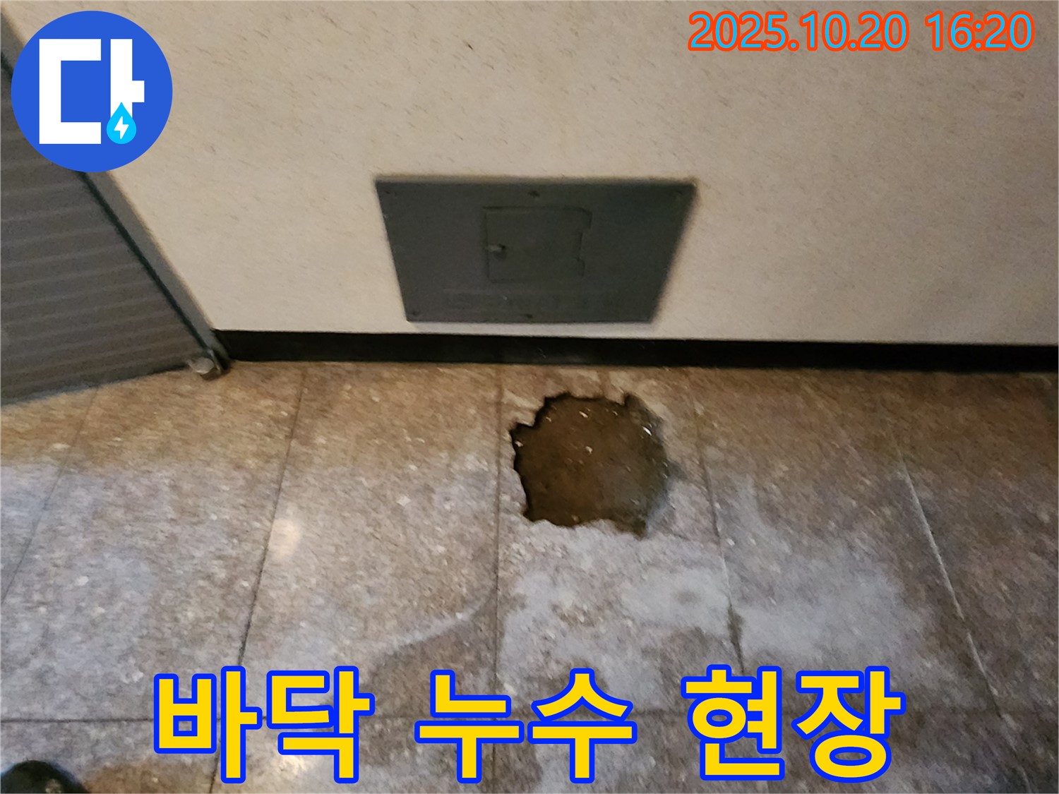 양주시 장흥면 부곡리 건물 바닥 누수 - 누수탐지 및 공사 진행 중