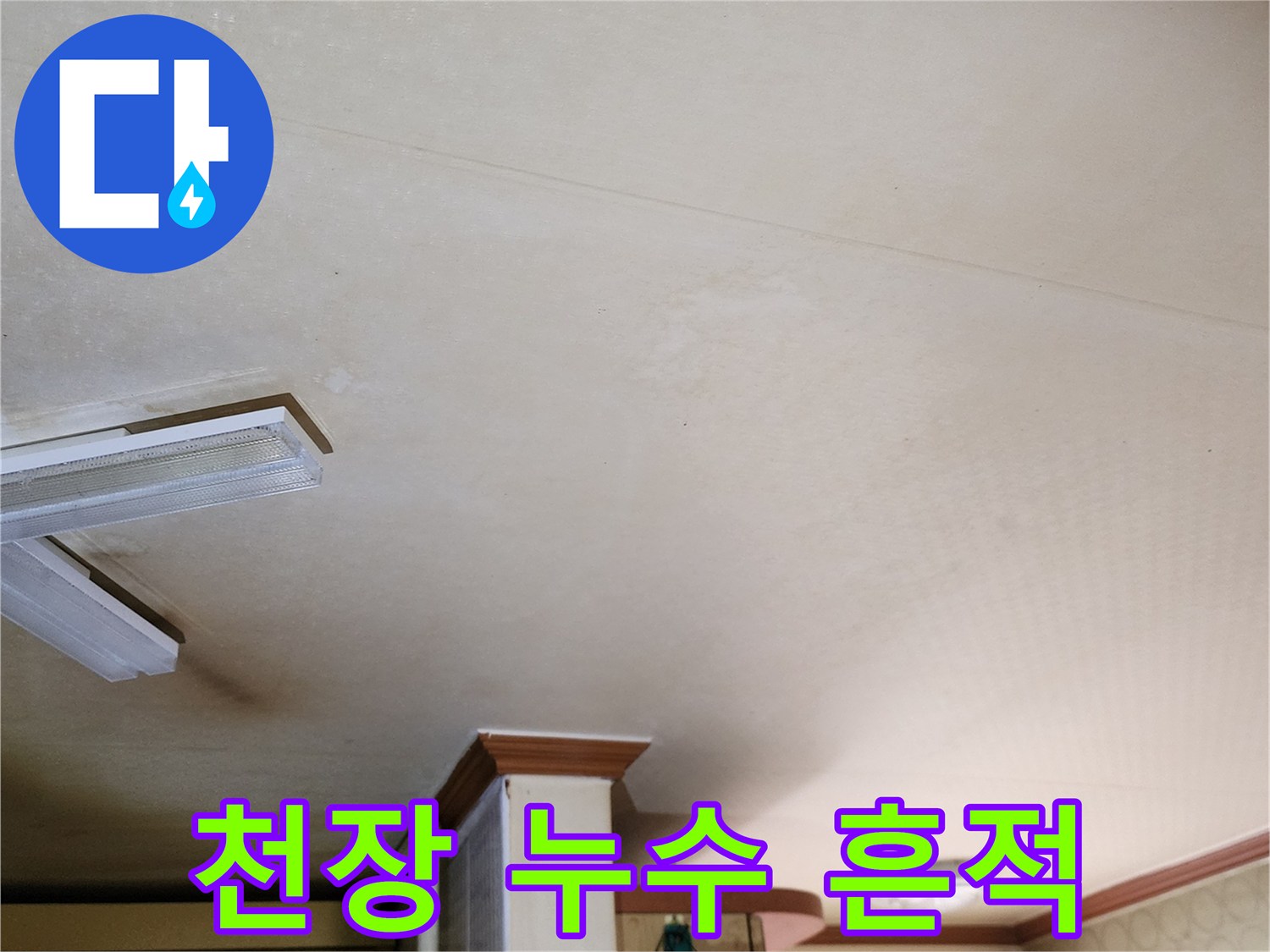 양주시 은현면 주방 천장에 나타난 물 얼룩과 곰팡이 흔적