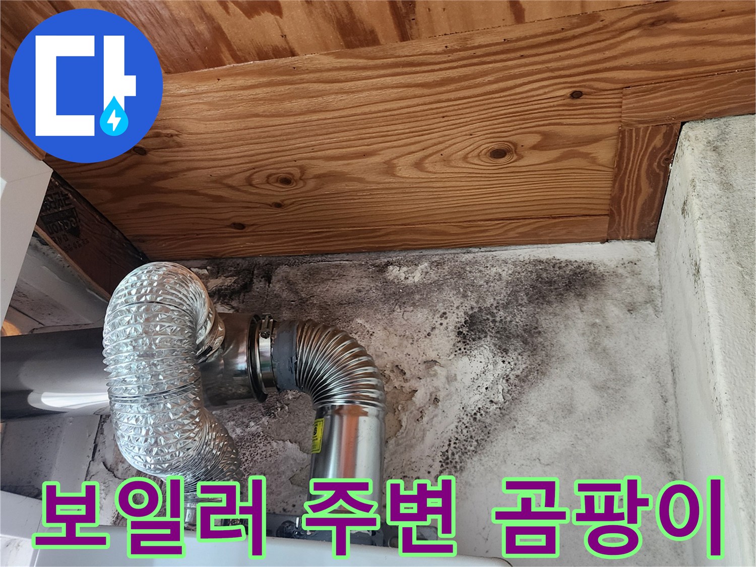 보일러-배관-연결부-주변의-심한-곰팡이와-벽면-젖음