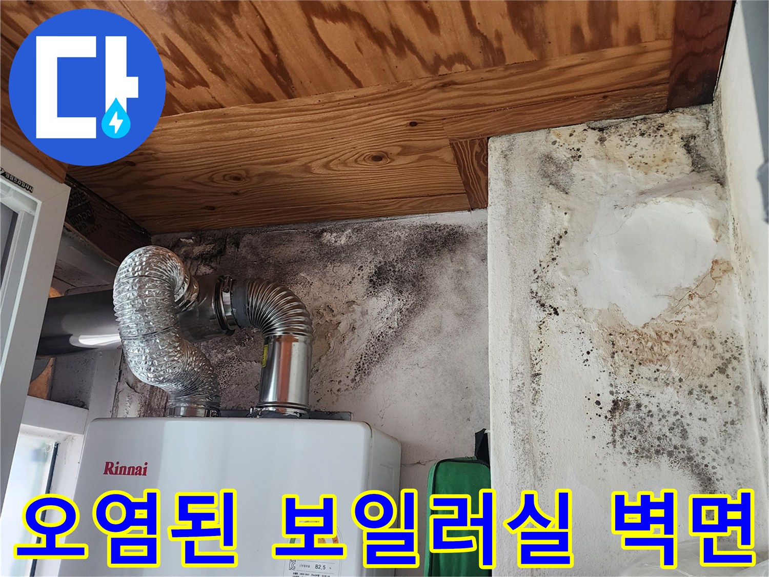 습기로 인해 곰팡이가 발생한 보일러실 내부 벽체
