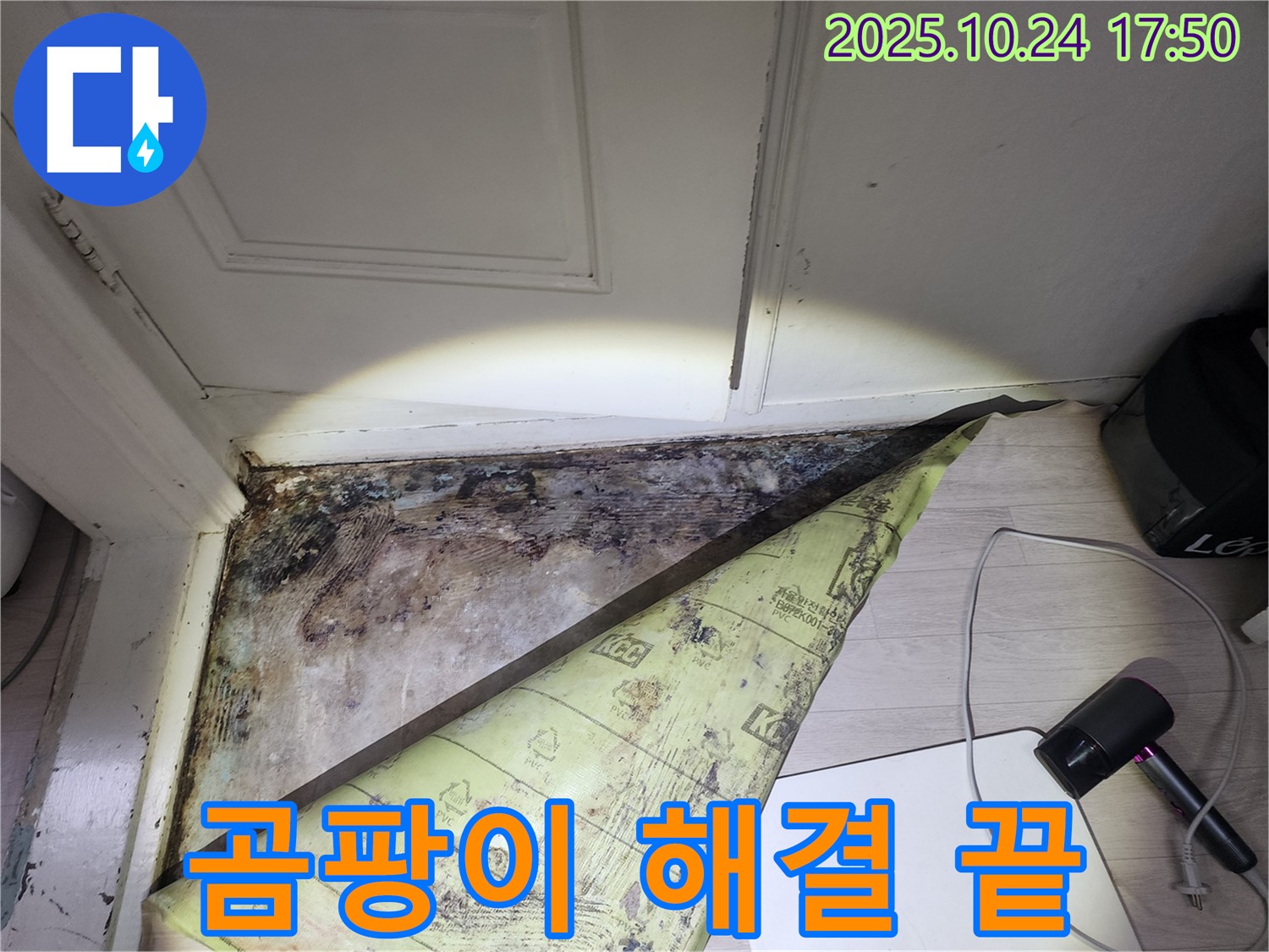 양재동 누수 현장 - 현대빌라, 곰팡이 걱정 이제 끝! 완벽하게 해결했습니다.