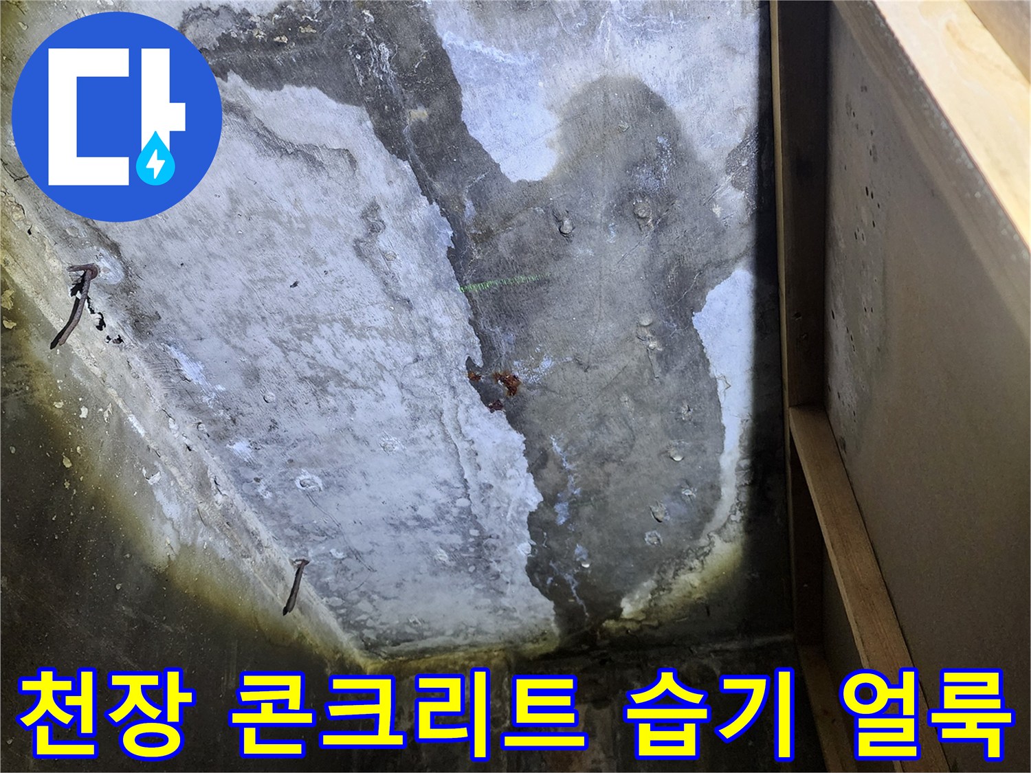 상가 천장 내부-콘크리트 슬래브의 젖은 상태와 물자국 현황