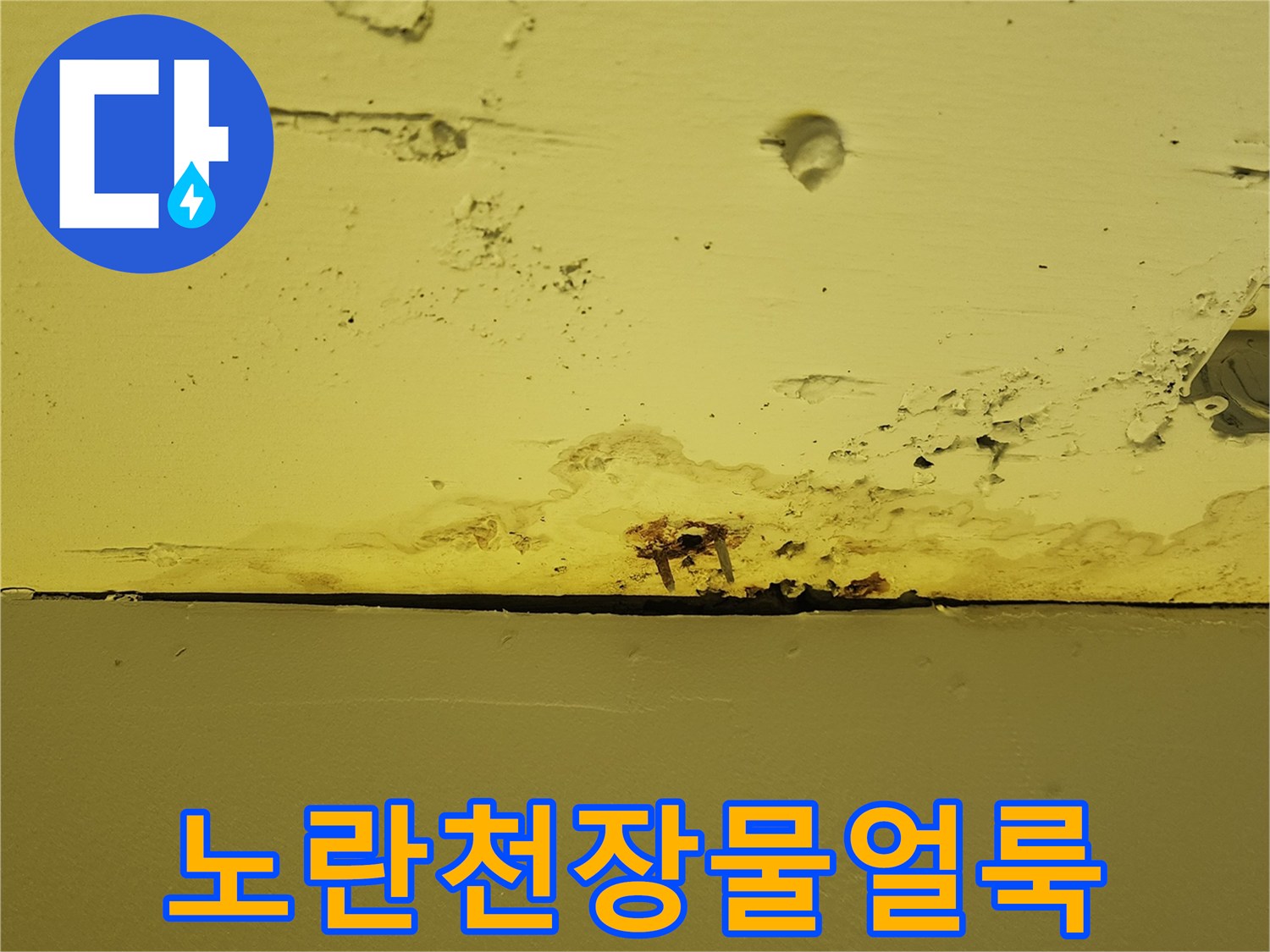 양주시 상가 내부 노란색 천장 마감재에 발생한 누수 흔적과 변색된 부위