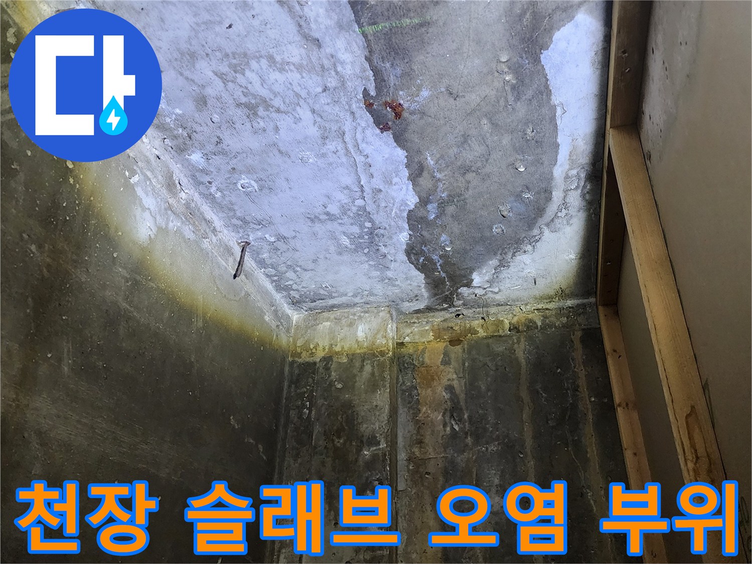 습기가 스며들어 어둡게 변색된 상가 천장 콘크리트