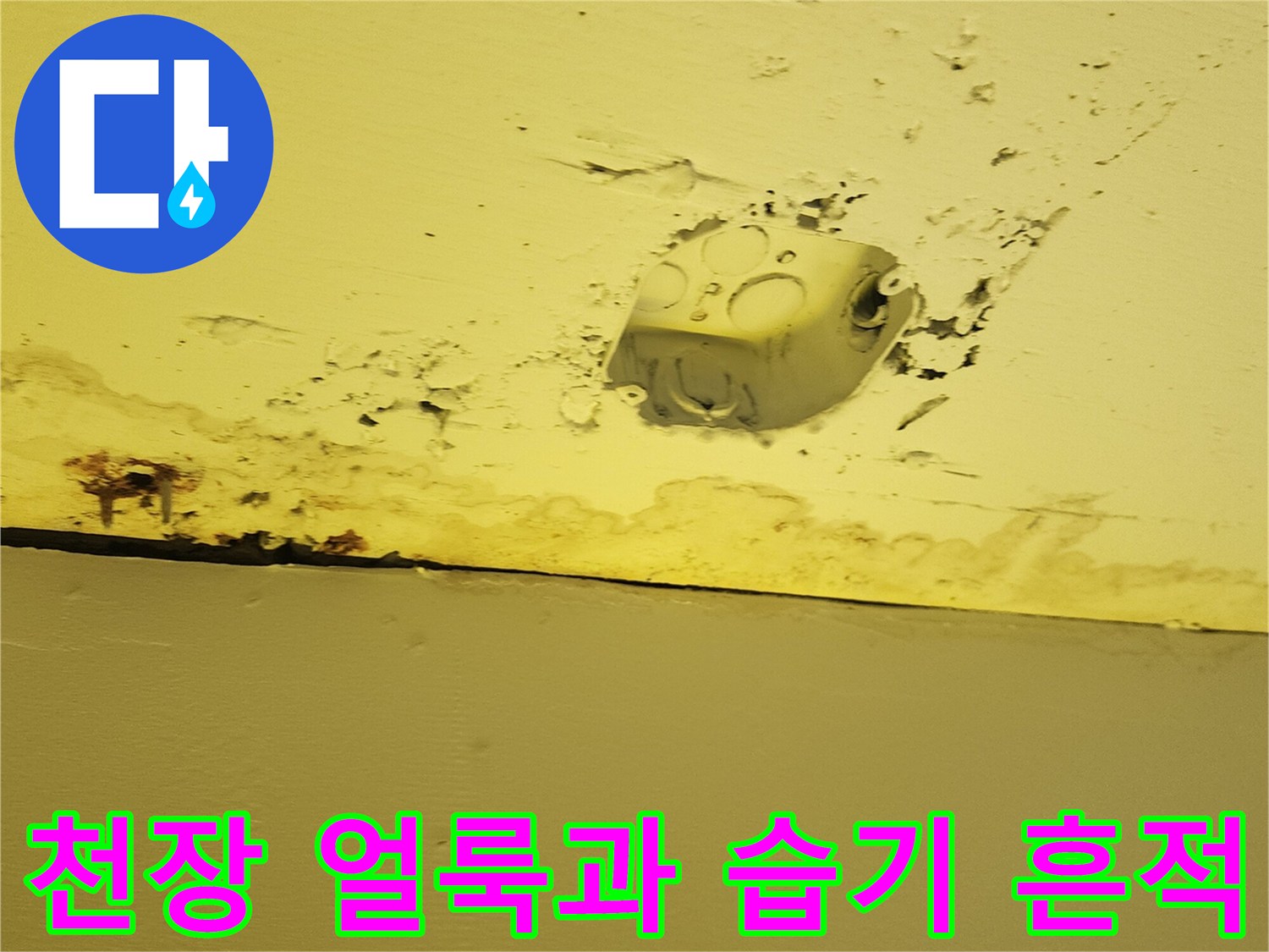 양주 하패리 현장-천장 마감재 오염 상태