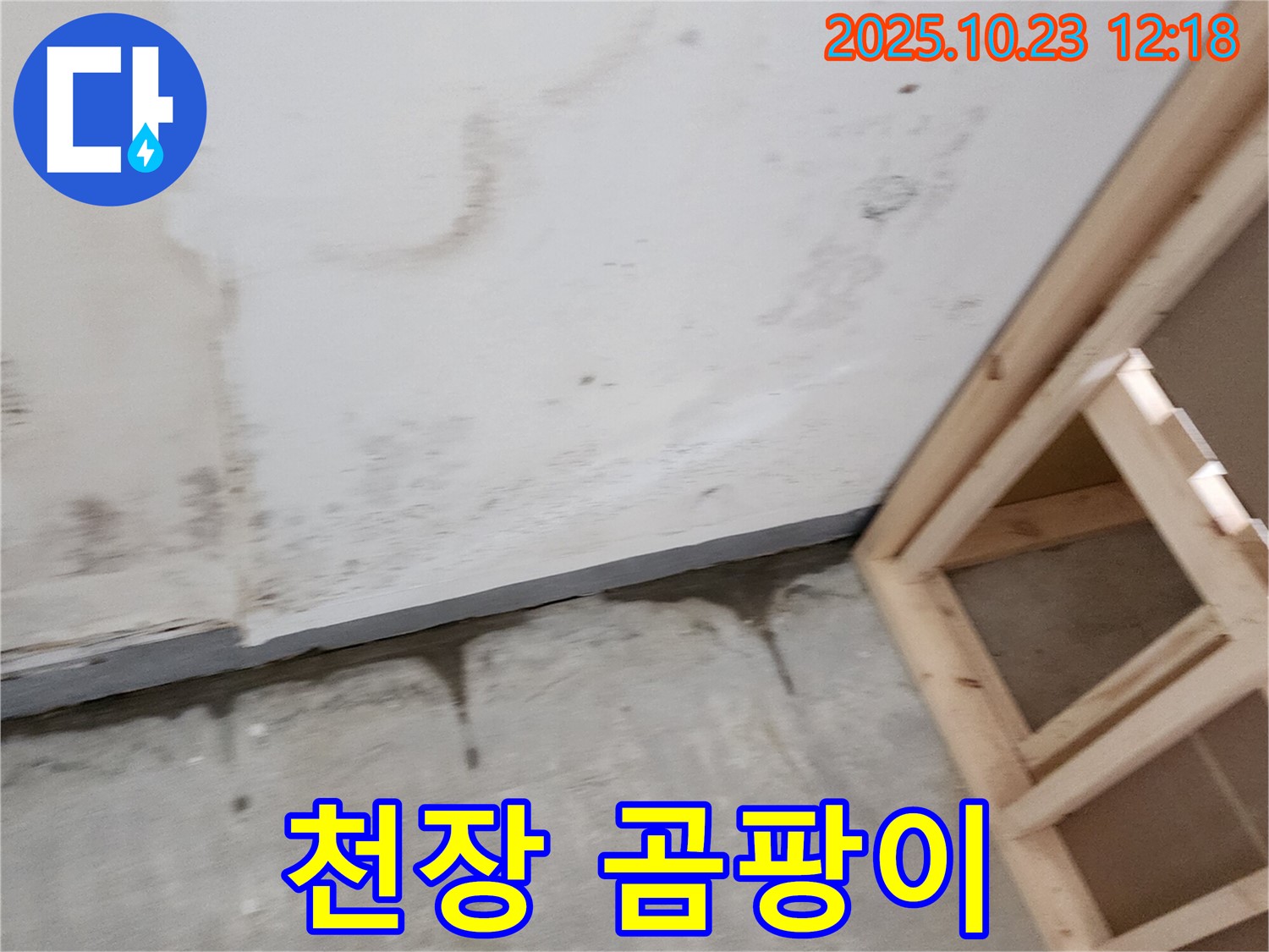양주시 은현면 하패리 누수탐지 - 천장 누수로 인한 곰팡이 발생 원인 진단