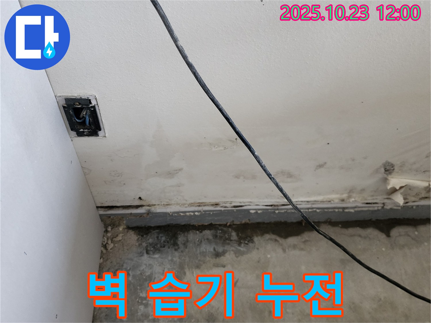 양주시 은현면 하패리 - 벽면 습기와 콘센트 누전 위험 진단