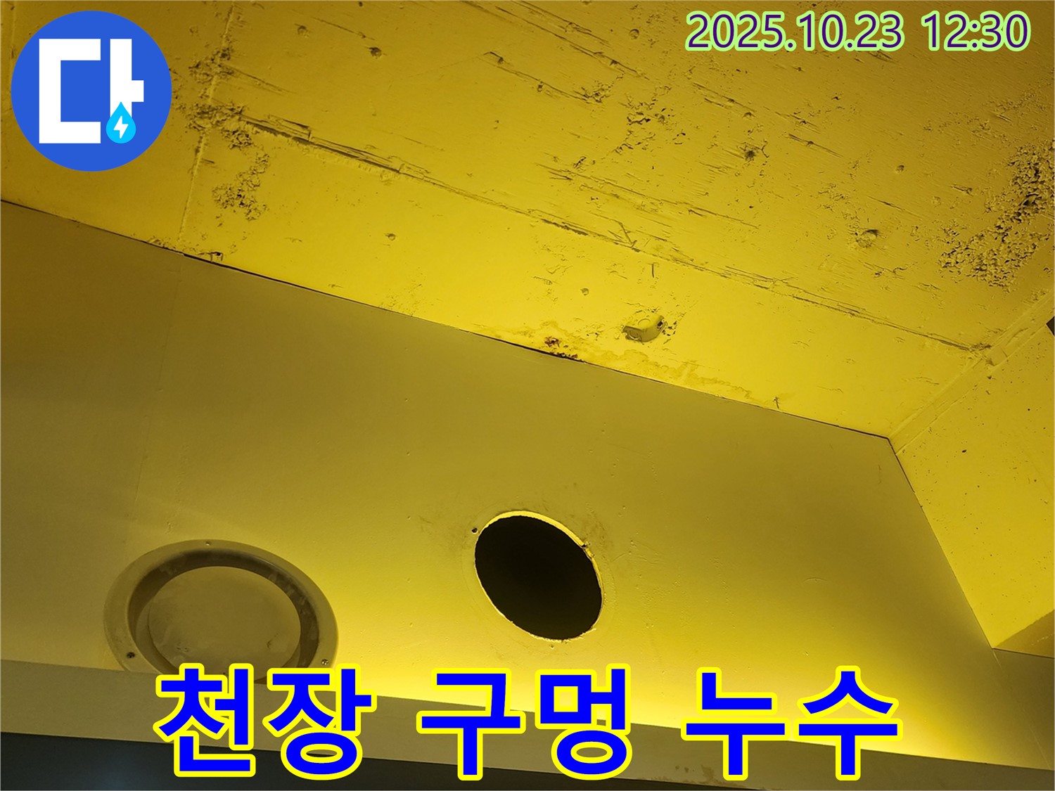 양주시 은현면 하패리 천장 누수 - 구멍 주변 누수 집중 점검 및 원인 분석