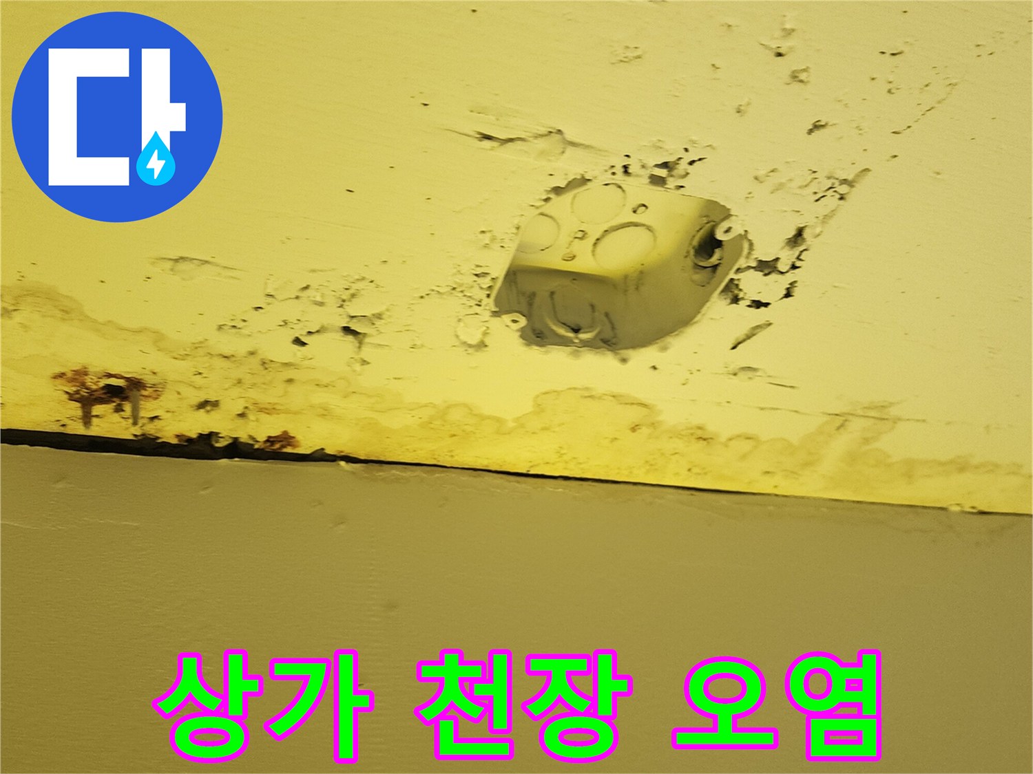 양주시 하패리 상가 건물-천장재 물샘 흔적 및 얼룩