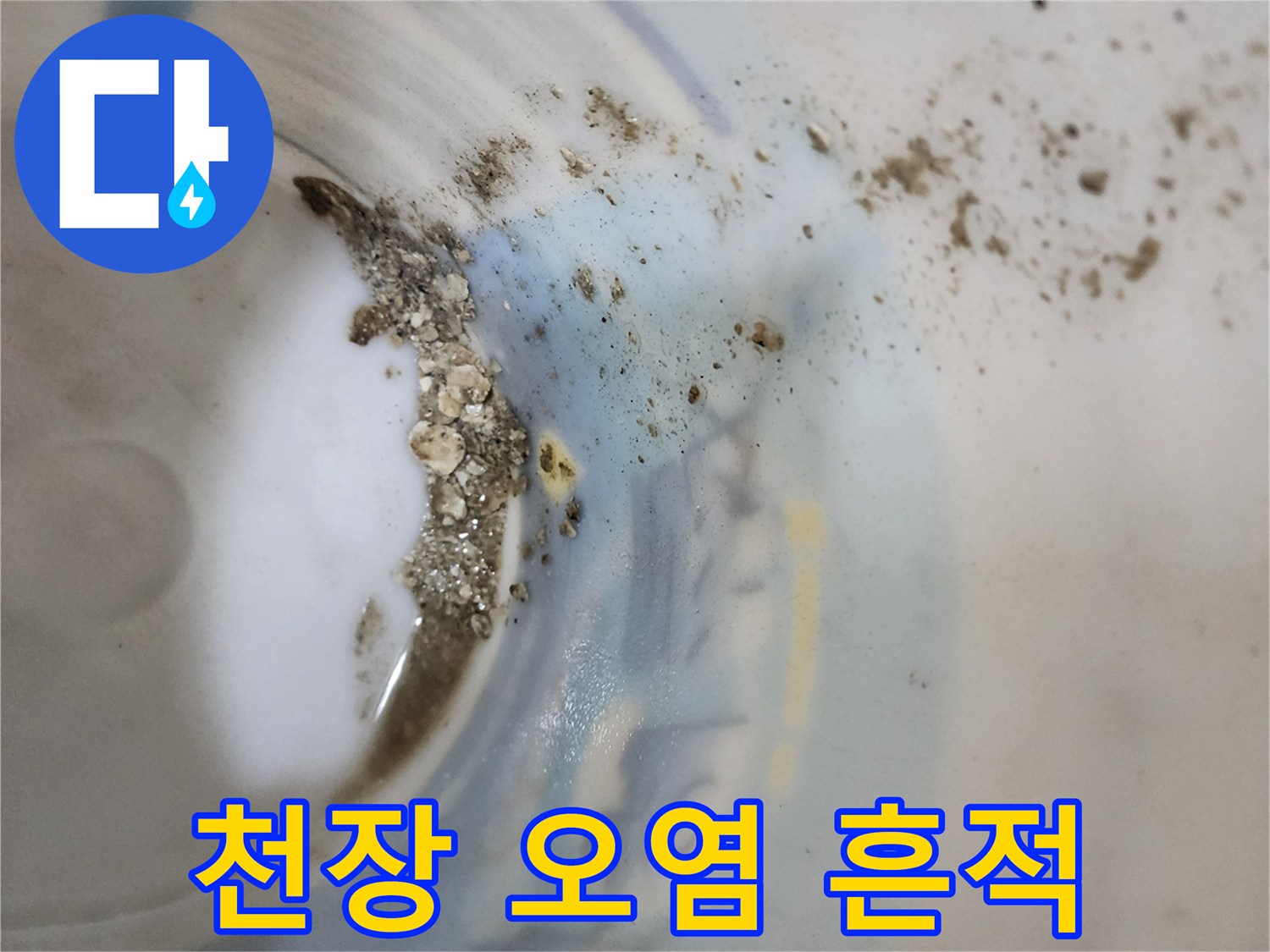 양주시 하패리 상가 천장 내부의 물샘 오염 흔적