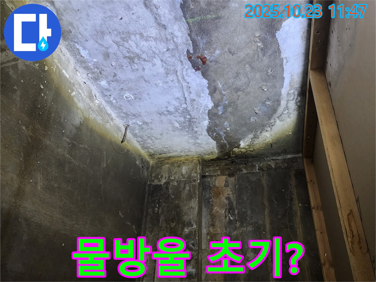 양주시 하패리 - 천장 물방울, 누수 초기 증상 의심