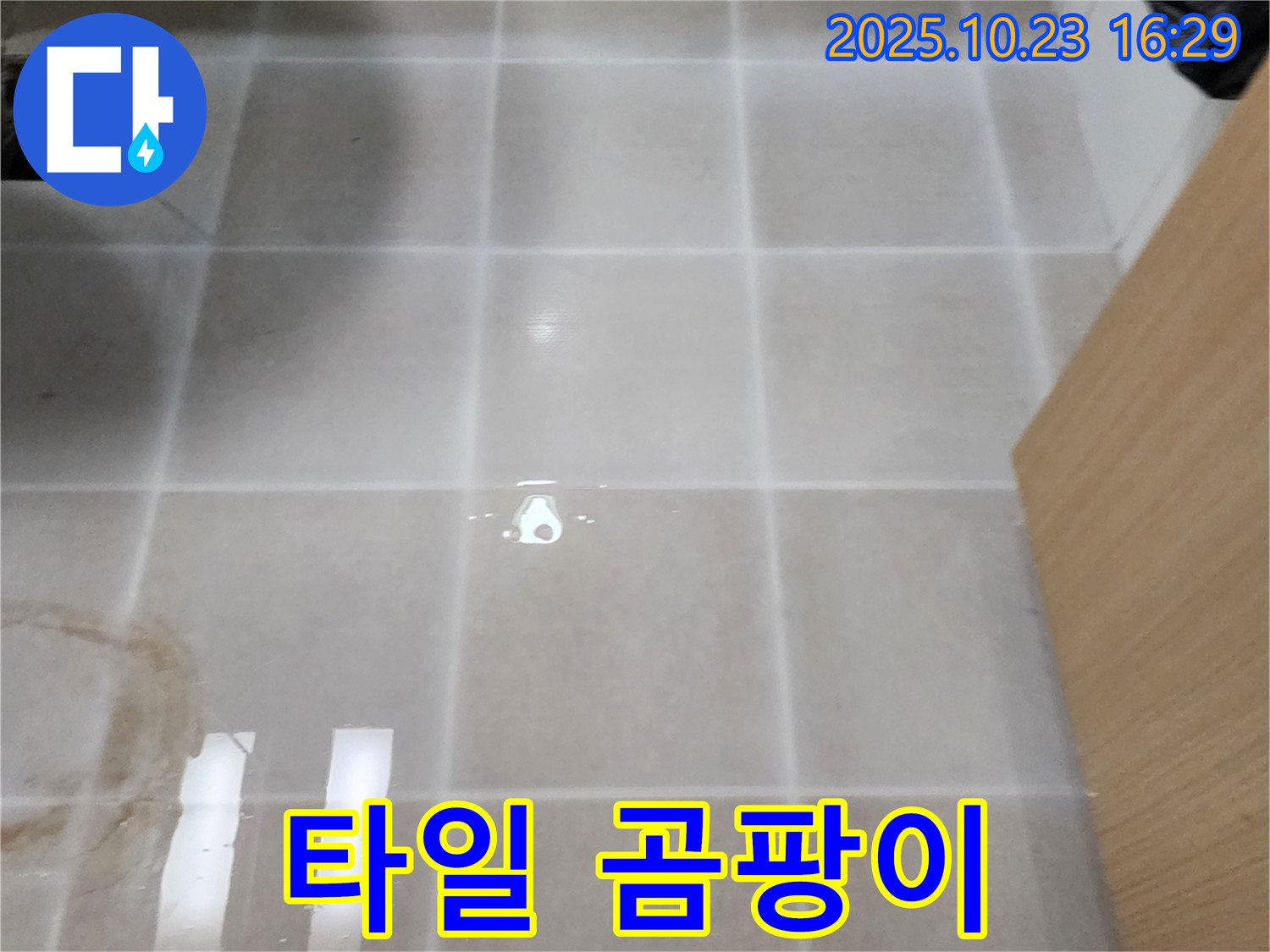 양주시 은현면 욕실 타일 곰팡이 - 건강 위협, 누수 점검 필수