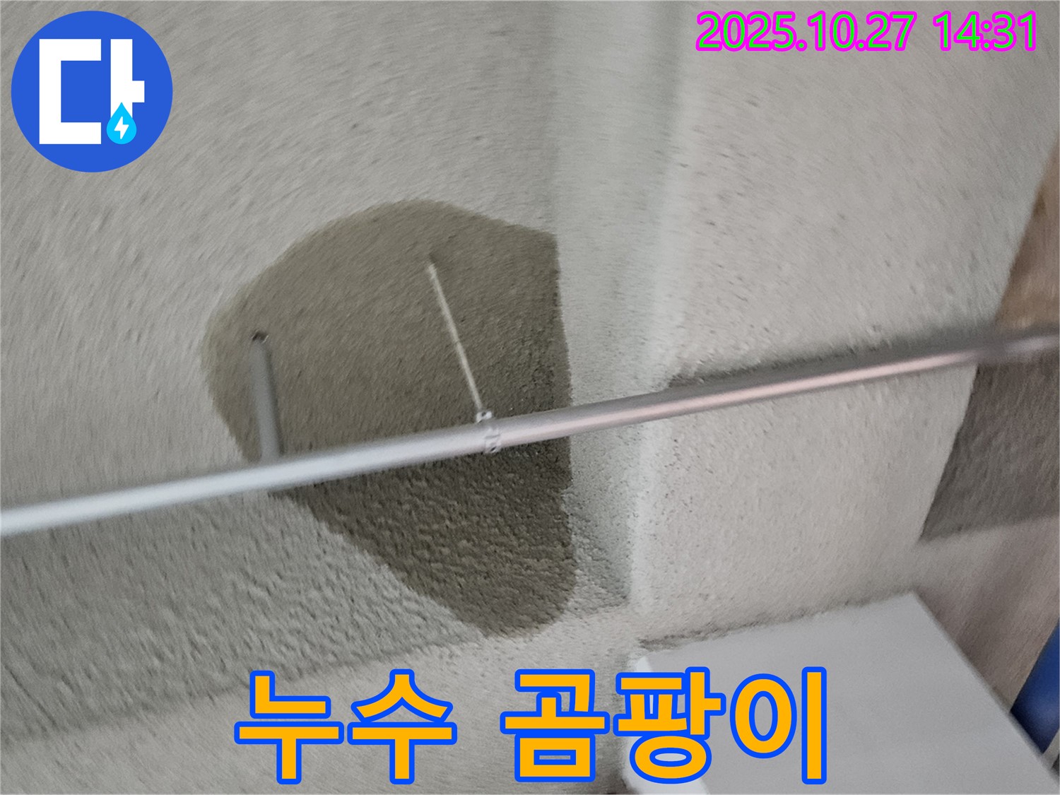 천장 누수 - 곰팡이 발생 위험!