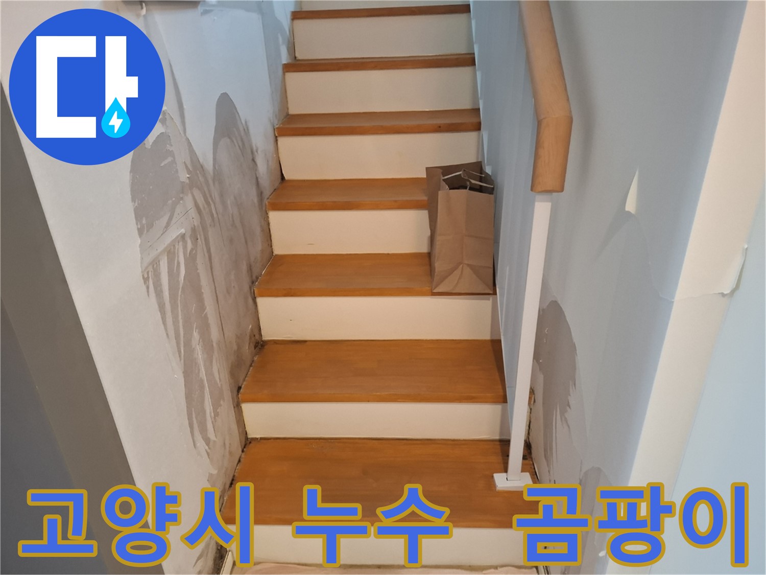 계단 옆 벽 곰팡이 - 건강 위협, 곰팡이 완전 박멸