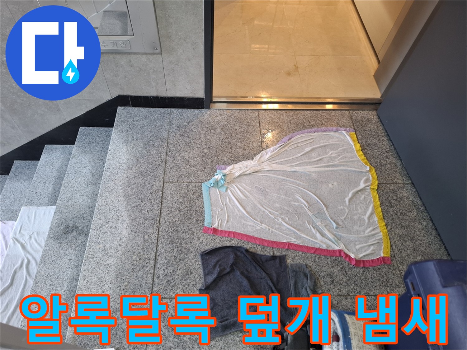 알록달록 덮개와 먹색 상의 - 냄새 공장