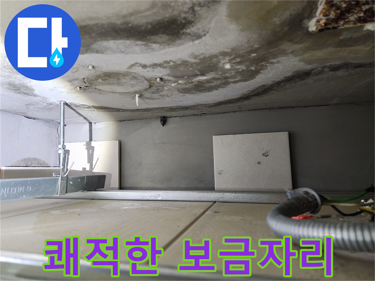 곰팡이 문제 해결-쾌적한 보금자리 완성