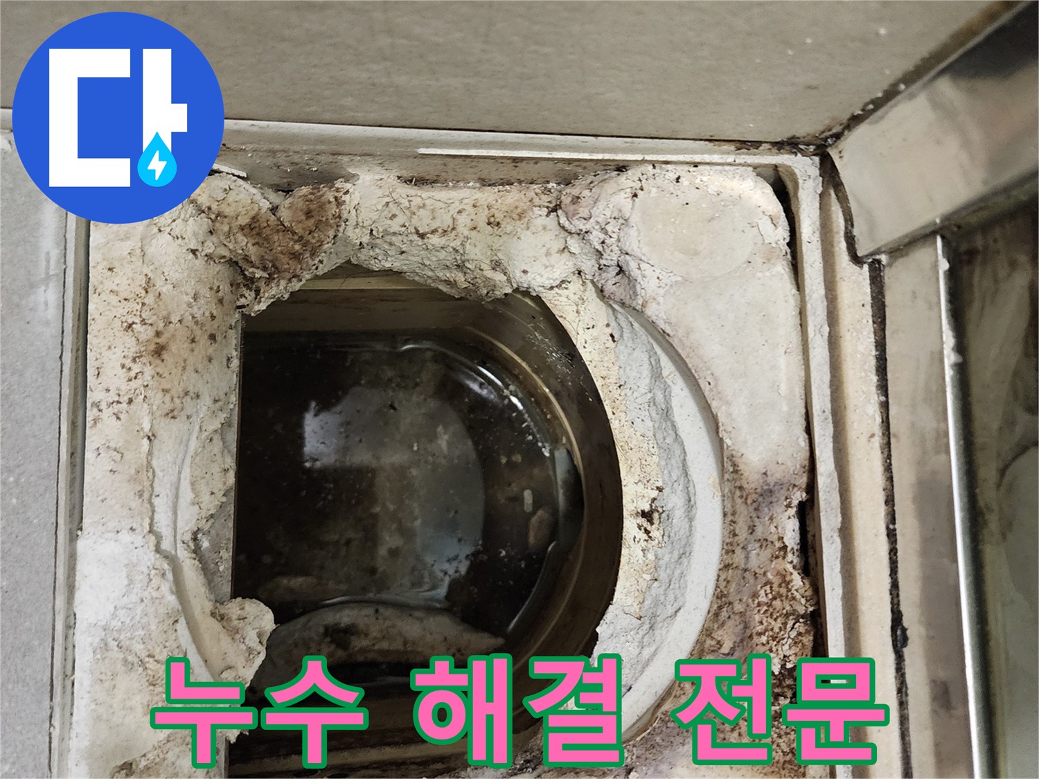 금호동2가 신금호파크자이 누수 문제 - 누수 해결 전문 업체의 방문 점검