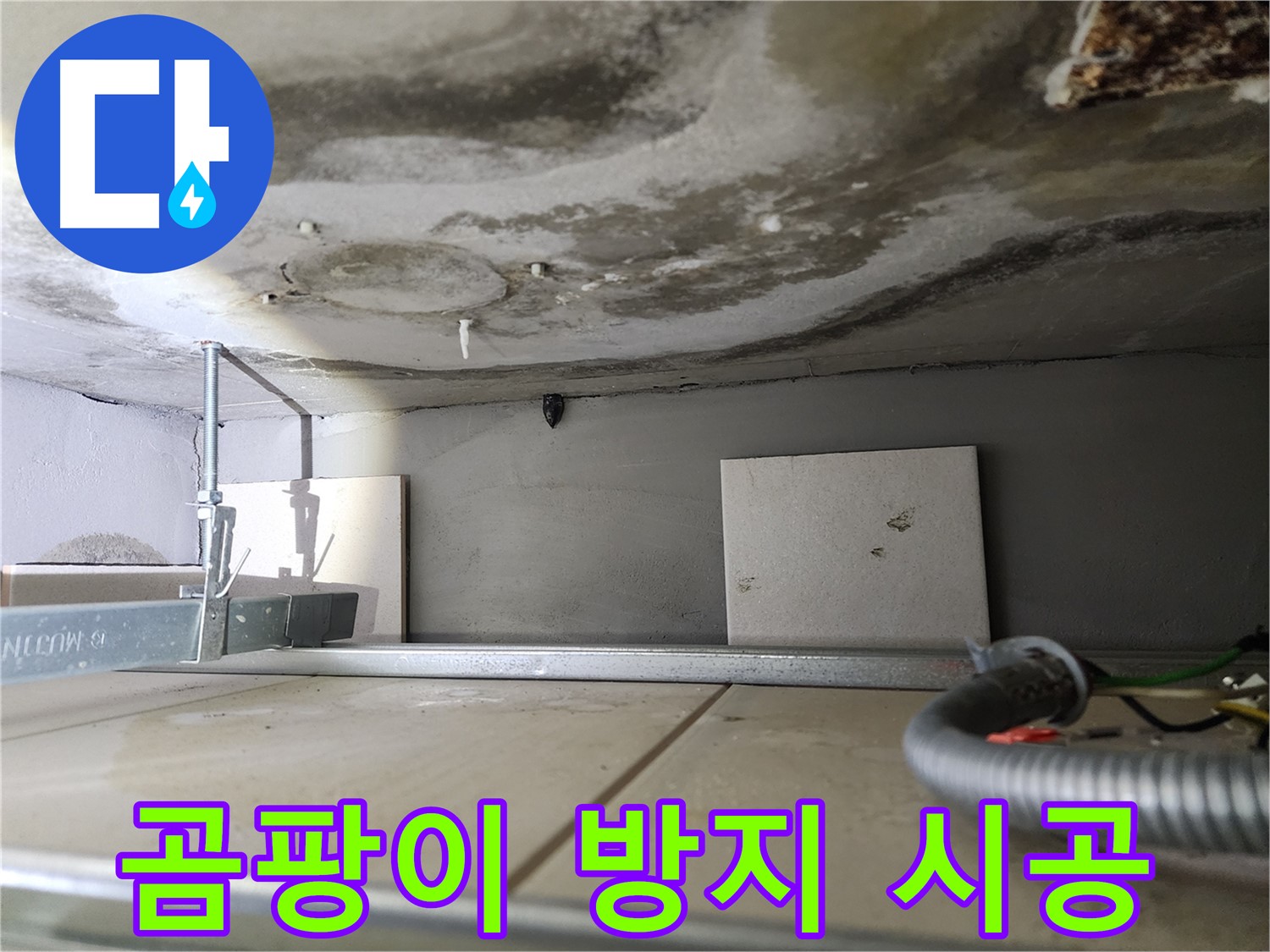 윗집 배관 공사 후 곰팡이 방지-쾌적한 환경 조성