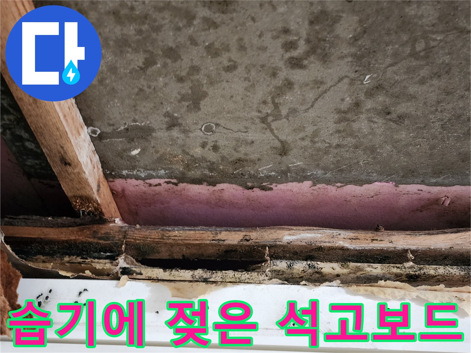 물에 젖어 변색된-석고보드와 목재 접합부