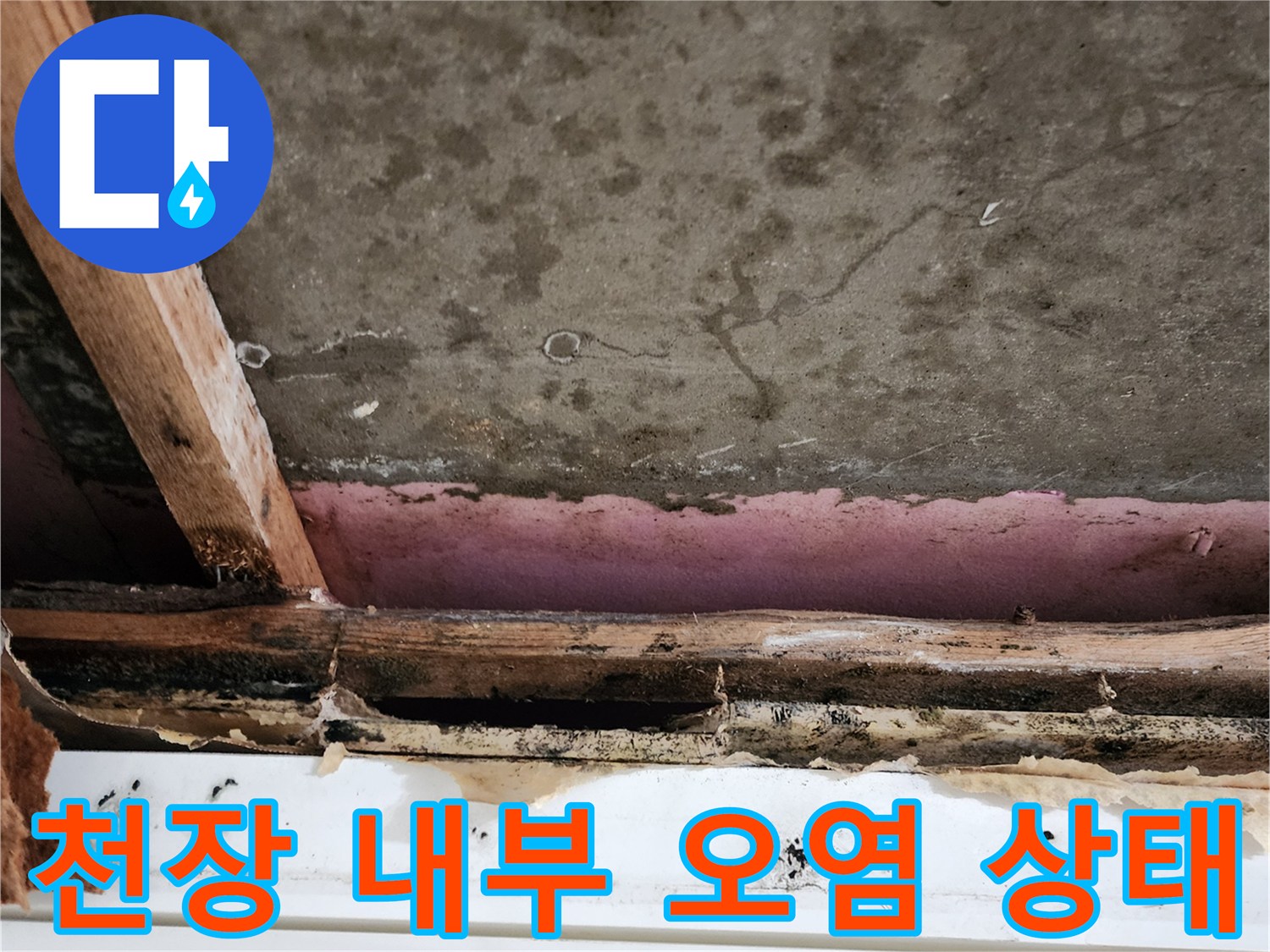 습기와-곰팡이로-변색된-천장-목재-구조물