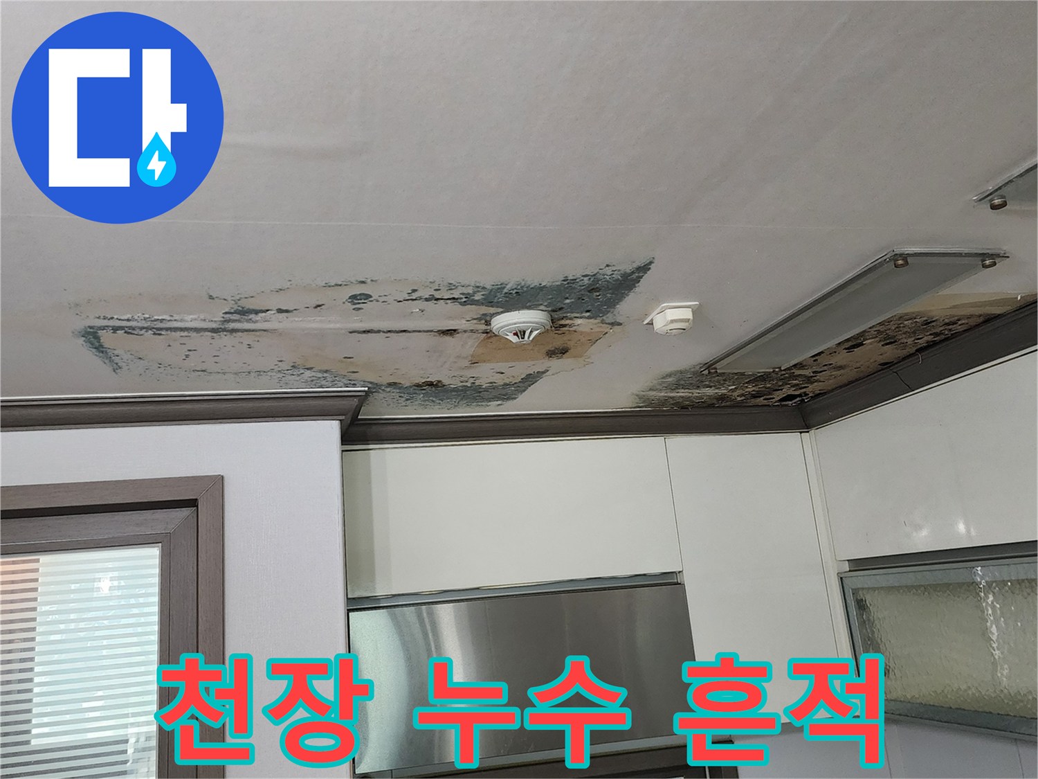 천장 실크벽지 위로 번진 심한 곰팡이 자국