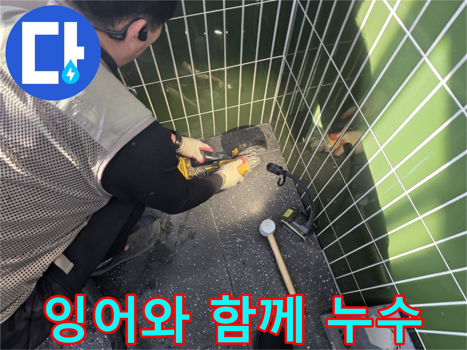 연못 속 잉어와 함께하는 누수 공사 - 잉어들아 잠깐만!
