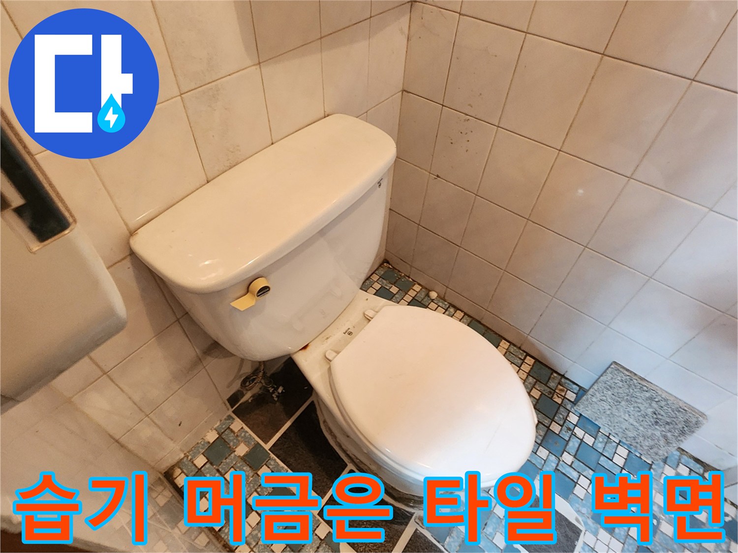 양주시 남방동-물샘으로 인해 곰팡이가 발생한 욕실 벽면