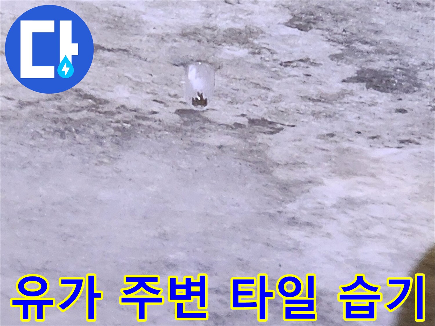 배수구 유가 주변 타일 틈새의 침투 누수 현상