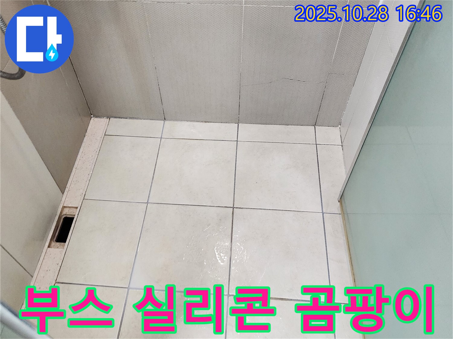 양주시 유양동 샤워부스 실리콘 곰팡이 - 틈새 누수 주의