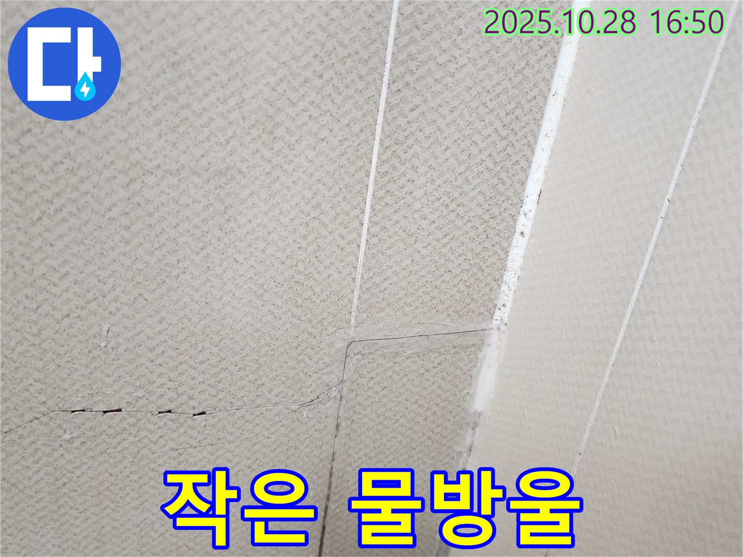 양주시 유양동 - 작은 물방울도 놓치지 않고 찾아내는 사진 - 미세 누수까지 완벽하게.