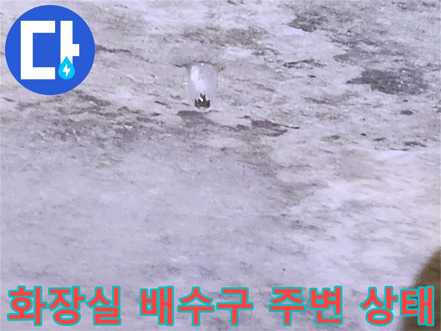 양주시 유양동 화장실 배수구 주변의 습한 콘크리트 슬래브 모습