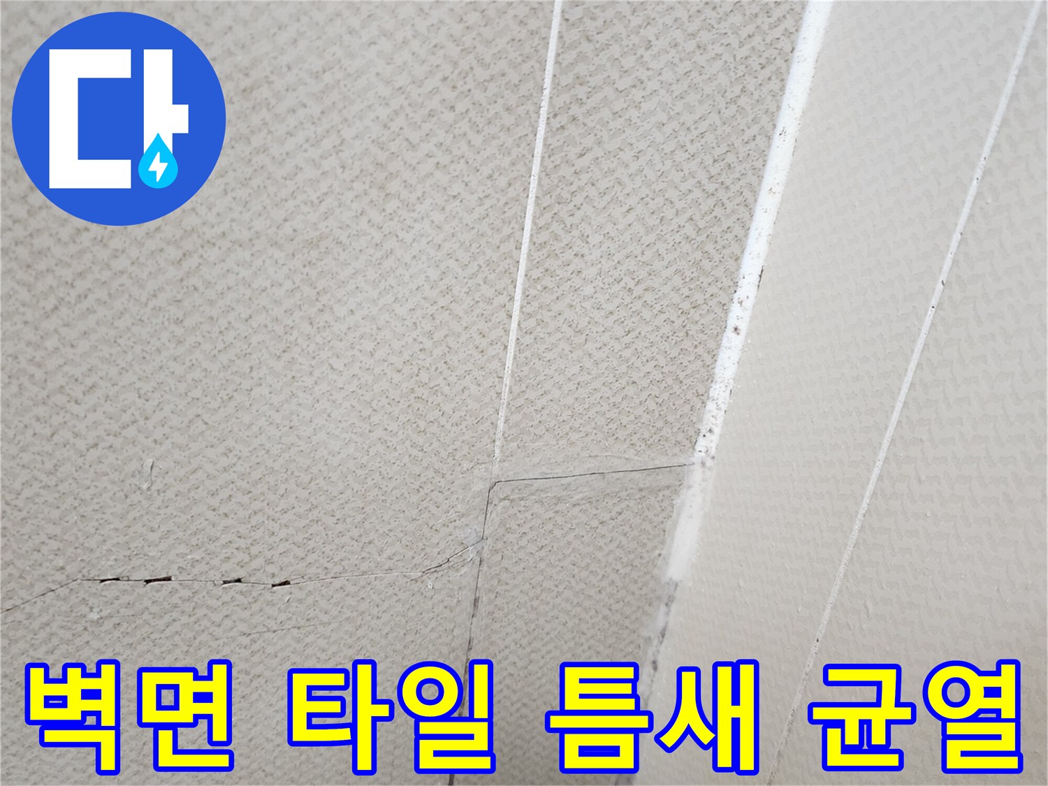 유양동-욕실-천장-벽체-틈새-및-균열-상태