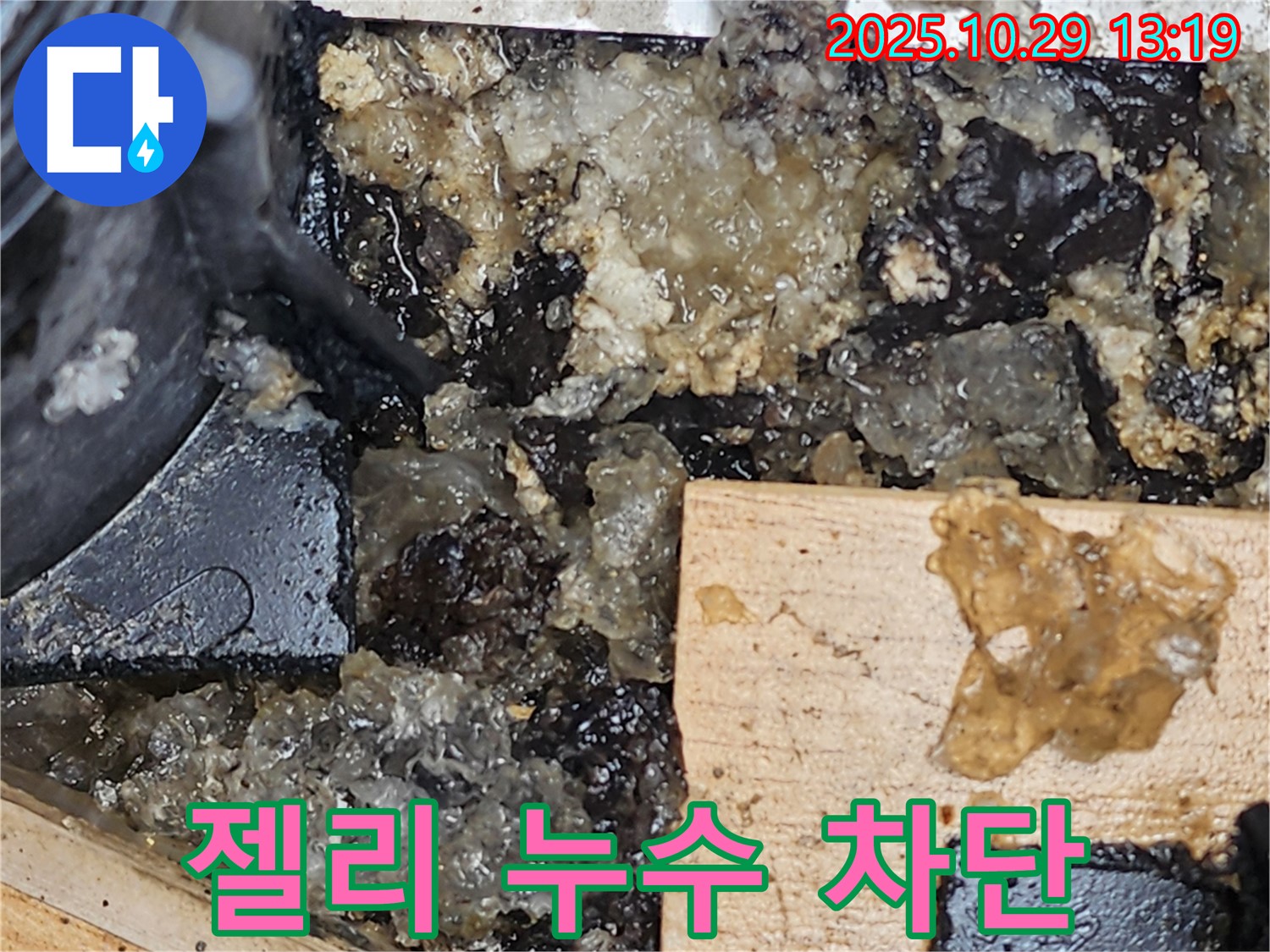 양주시 산북동 누수 - 젤리 누수 완벽 차단 성공!