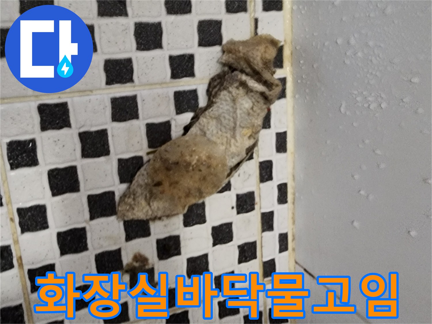 양주시 산북로 현장-화장실 바닥 타일 사이의 오염과 물고임 상태