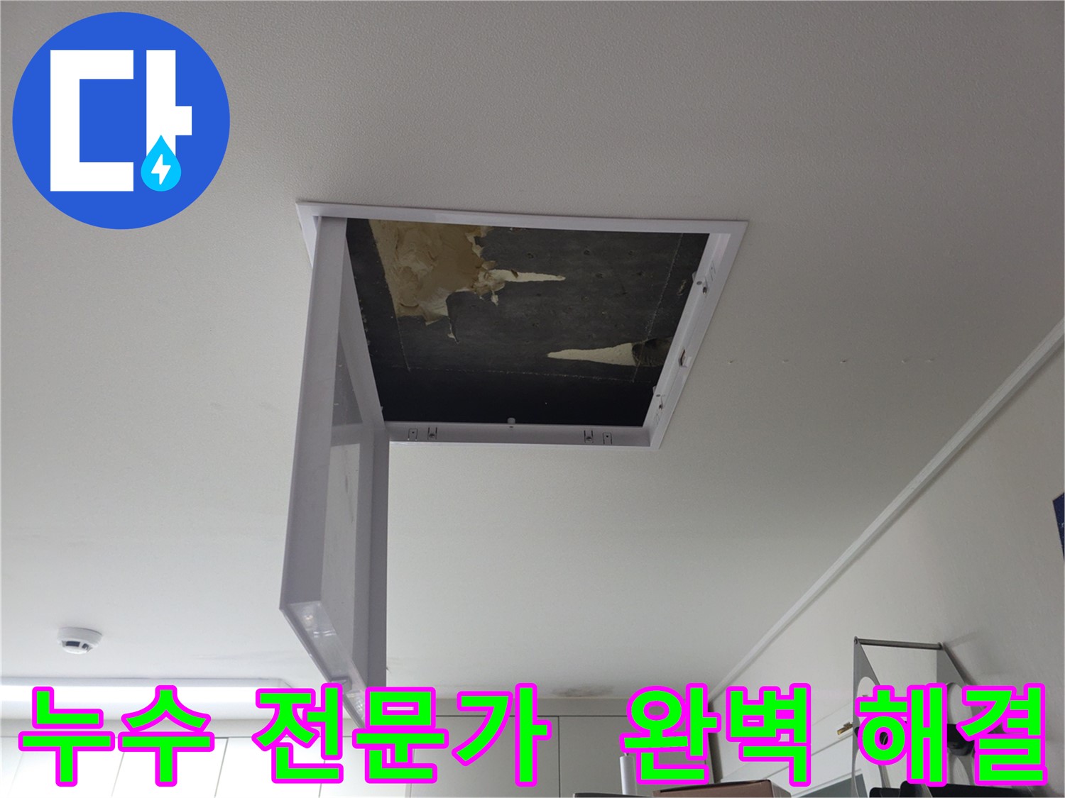 누수 전문가가 출동하여 누수 문제를 완벽하게 해결하는 모습