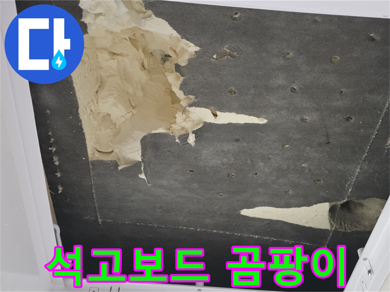 천장 누수 - 석고보드 곰팡이 - 건강 위협