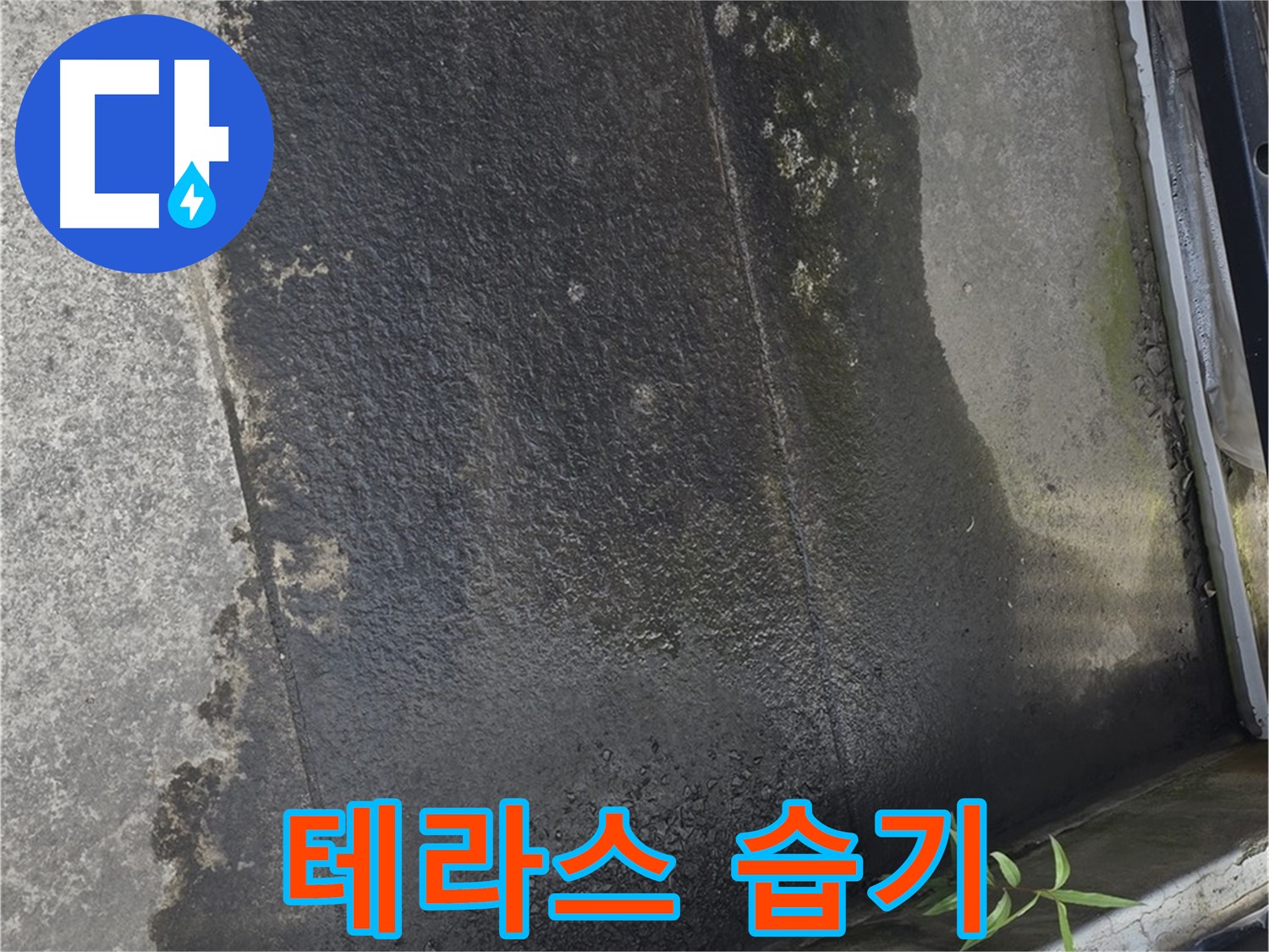 테라스 습기 - 곰팡이 번식? 누수 초기 증상일까요?